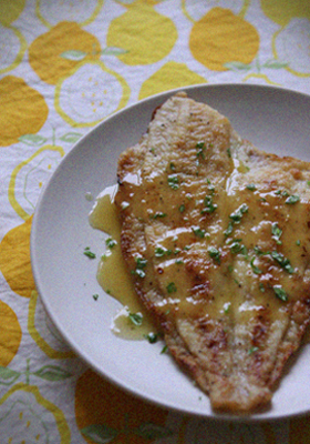 Lemon Sauce Lemon Sole