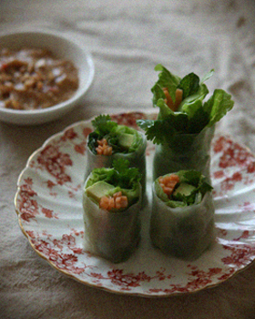 Salad Spring Rolls with Peanut Sauce 2