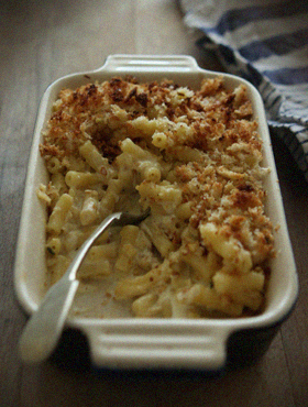 Macaroni Cheese Gratine 1