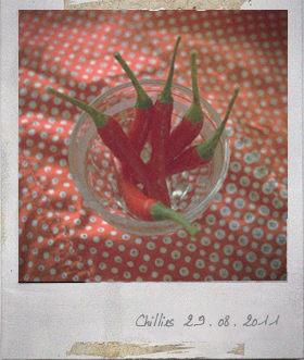 Peri Peri Prawns 2