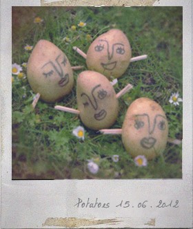 Roast Potatoes 2